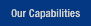 Our Capabilities
